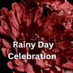 WhatsApp Image 2025-04-29 at 10.32.11 AM (2)